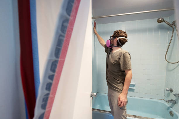 Reliable Cut Bank, MT Mold Removal Solutions