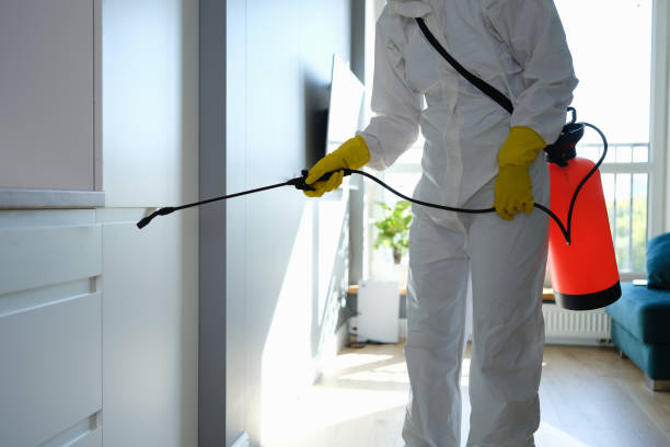 Best Air Quality Testing for Mold Spores  in Cut Bank, MT