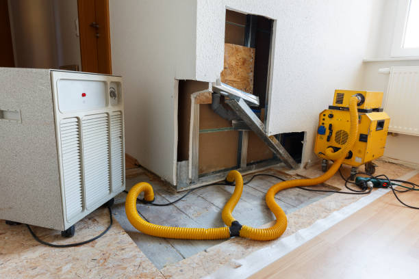 Best Mold Prevention Services  in Cut Bank, MT